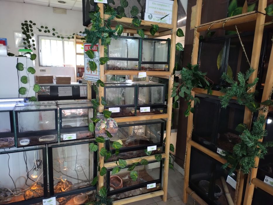 Estrutura de terrarios 60 cm,