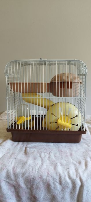 Gaiola para Hamster / Roedores Completa e Equipada (22x25x16) – Barata!