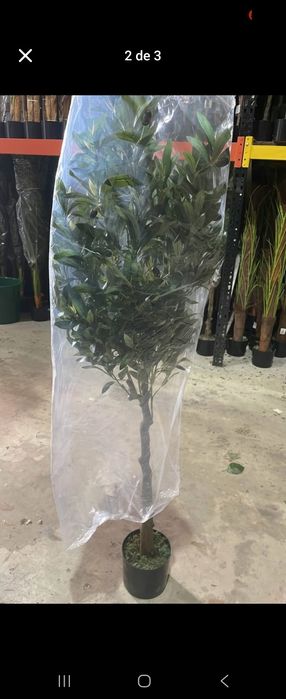 Oliveiras de excelencia artificiais 150 cm para decorações
