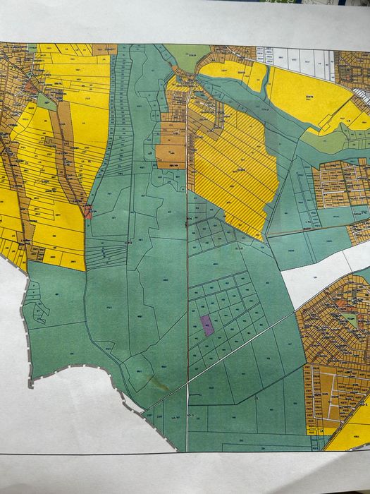 Działka rolna 1ha Jankowice Tarnowo Podgórne - Widok 2