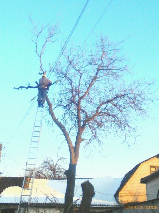 Спил деревьев. Дробилка веток. Покос травы. Мотоблок.Корчевка пней