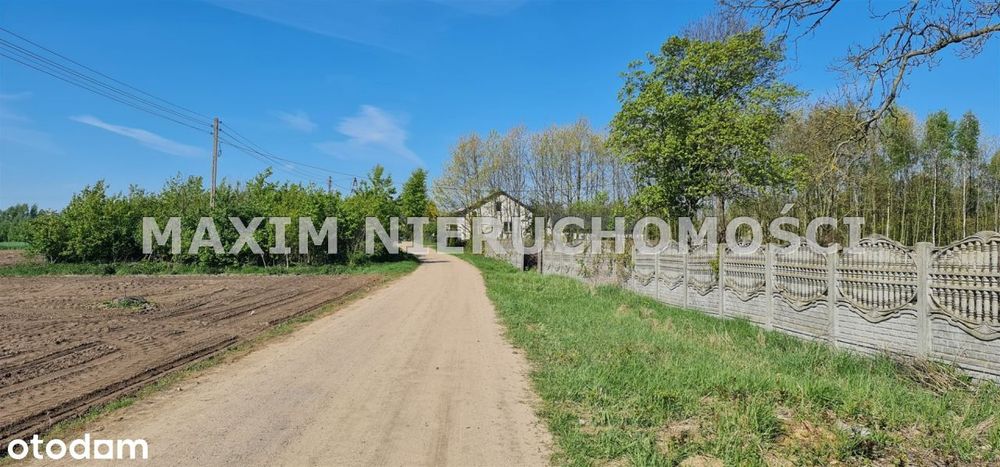 Działka z Wz w Drochowie gm. Naruszewo ponad 2 ha - Widok 5