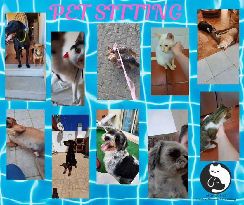 Mamã Pet - Pet sitting & Banhos e Tosquias