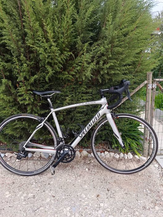 Specialized Paris-Roubaix 54 – Um Clássico de Campeões!