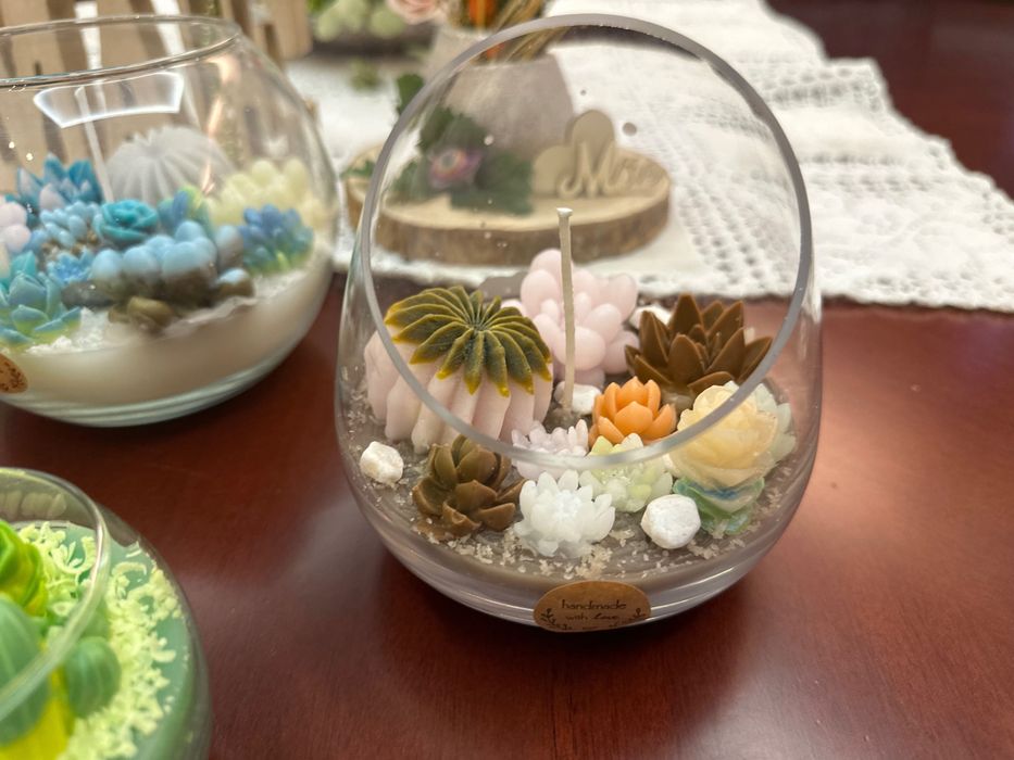 Terrario suculentas vela/cera