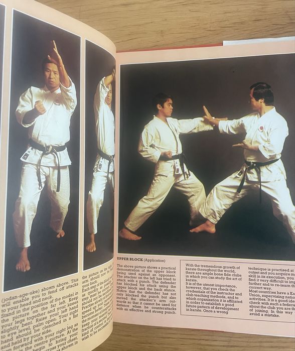 AN ILLUSTRATED INTRODUCTION TO THE MARTIAL ARTS