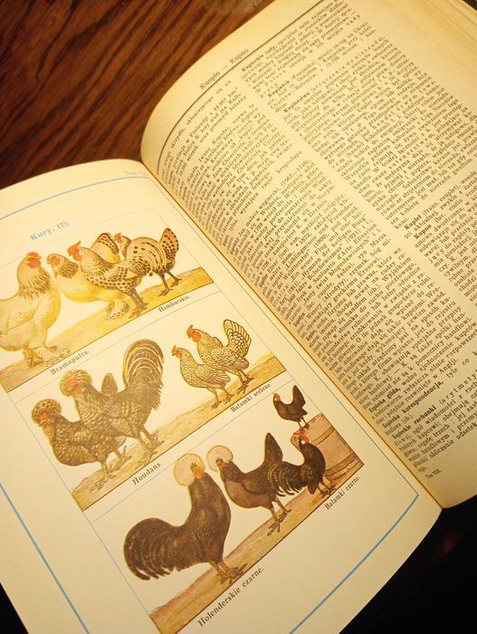 Encyklopedia Gutenberga