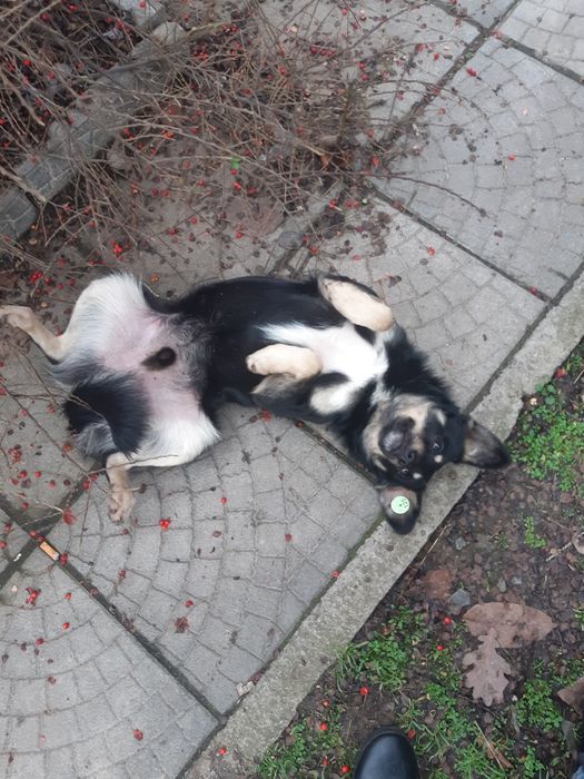 Малиш шукає сім'ю