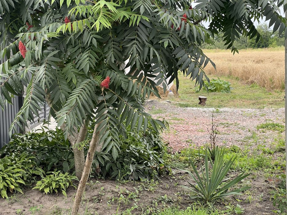 Пр зем12сЗазимье село в природном тихом месте
