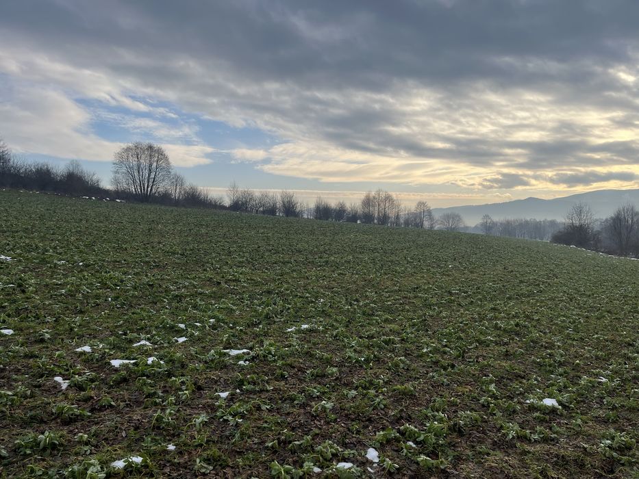 Dzialki Radziechowy 1.66ha - Widok 3