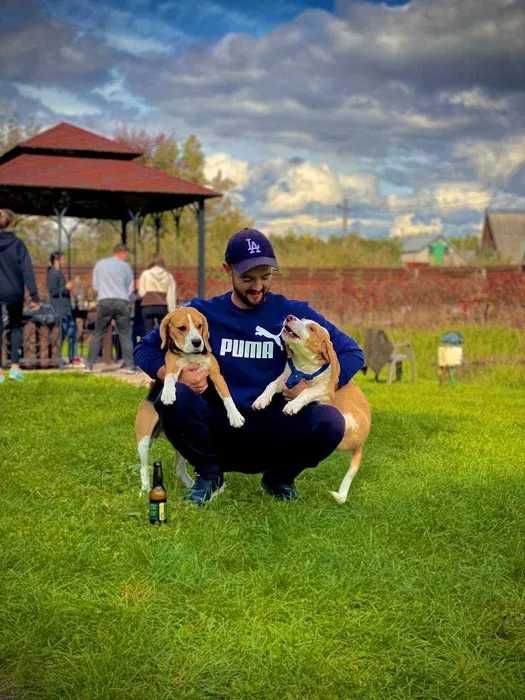 Аренда беседки в сосновом лесу, для отдыха и любого праздника.