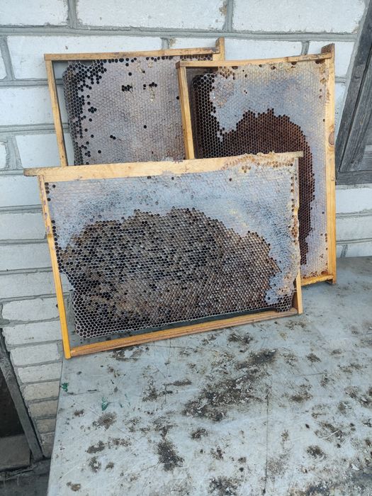 Рамки пчелиные 145 и 300.Сушь.Вощина