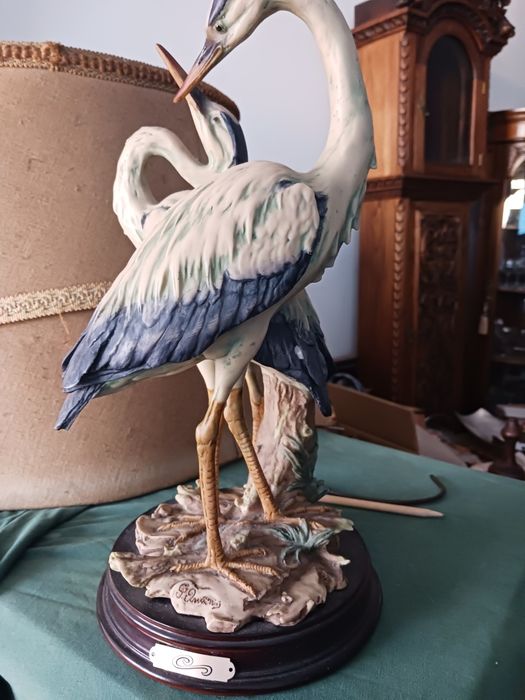 Um par de gasas lindas