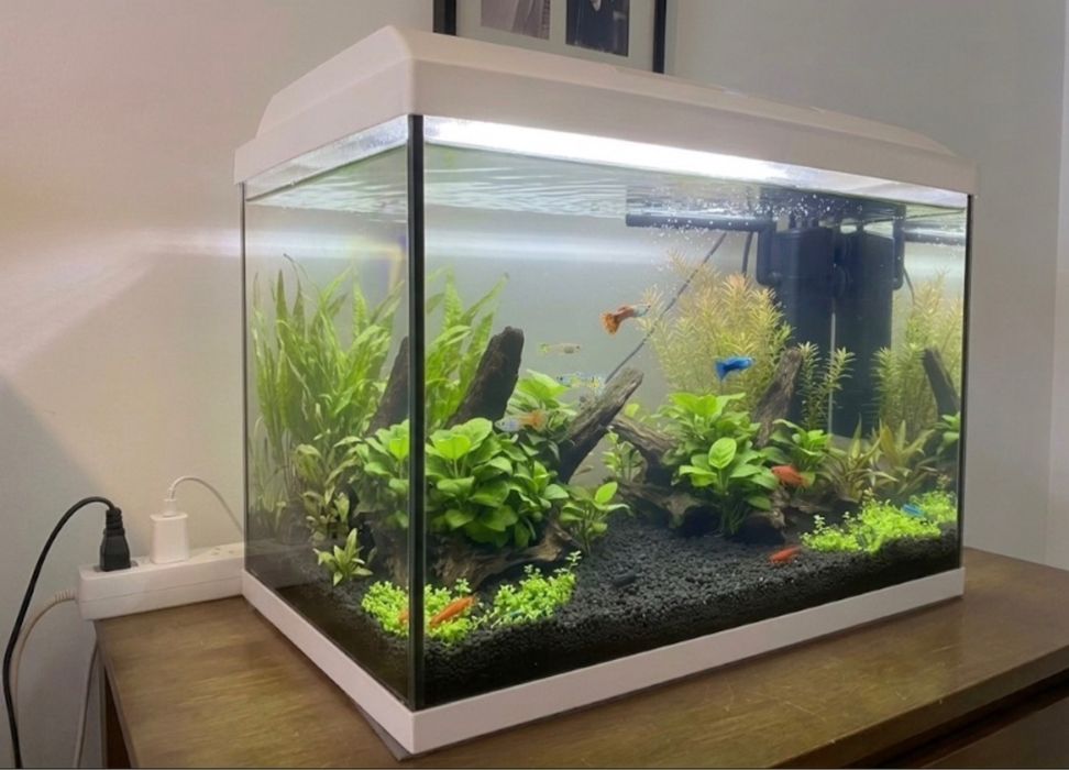 Aquário 72 litros