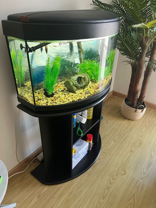 Aquário com movel