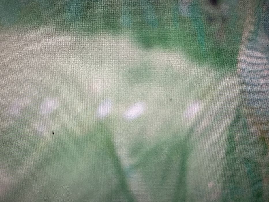 Monitor LG 32UK550-B 32”