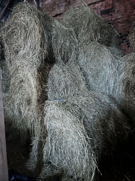 Sprzedam siano baloty 120/120