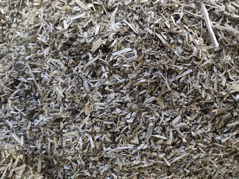 Костра конопель та льону