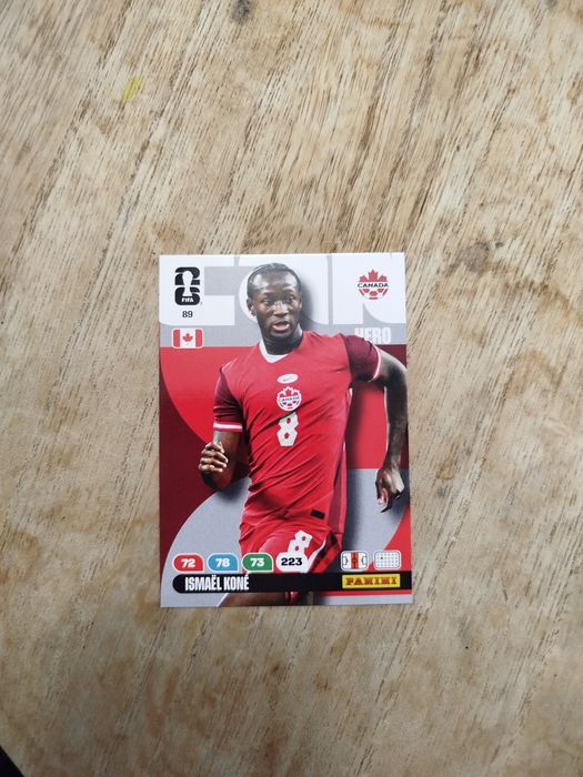Karty panini mundial 2026
