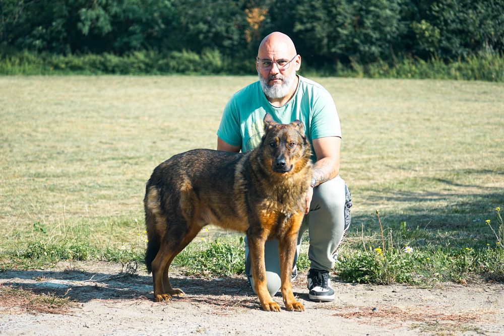 FEBEK - świetny pies szuka nowego domu