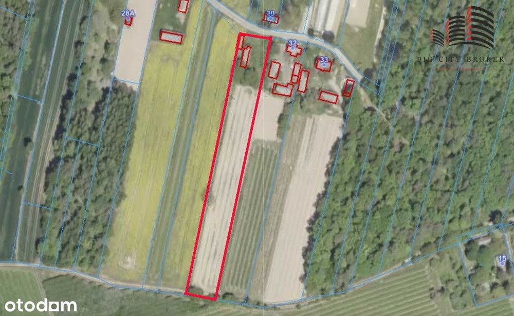 Duża działka zagrodowa niedaleko Piask