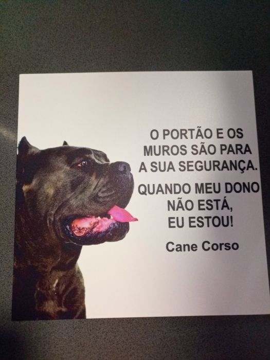 Placa AVISO Cane Corso cão guarda