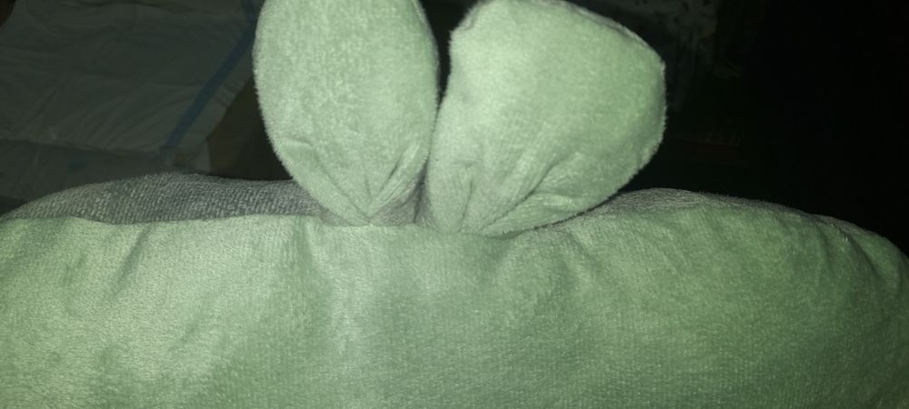 Almofada com encosto