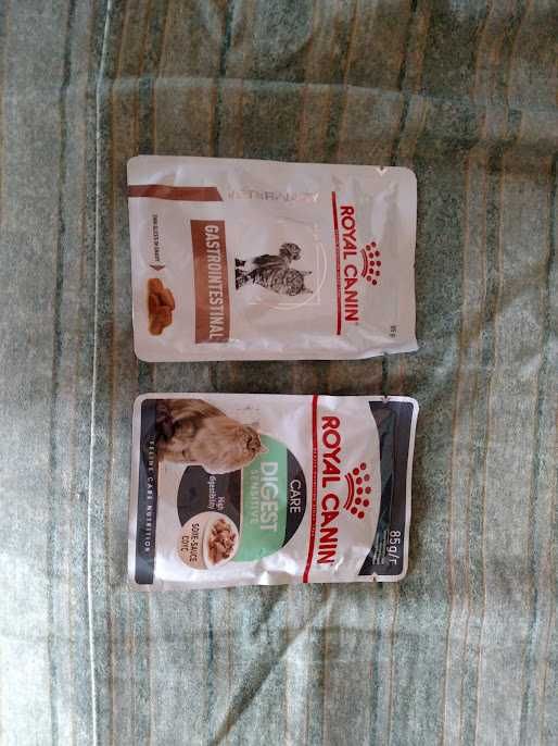 Продам 11 пачек кошачего Royal Canin