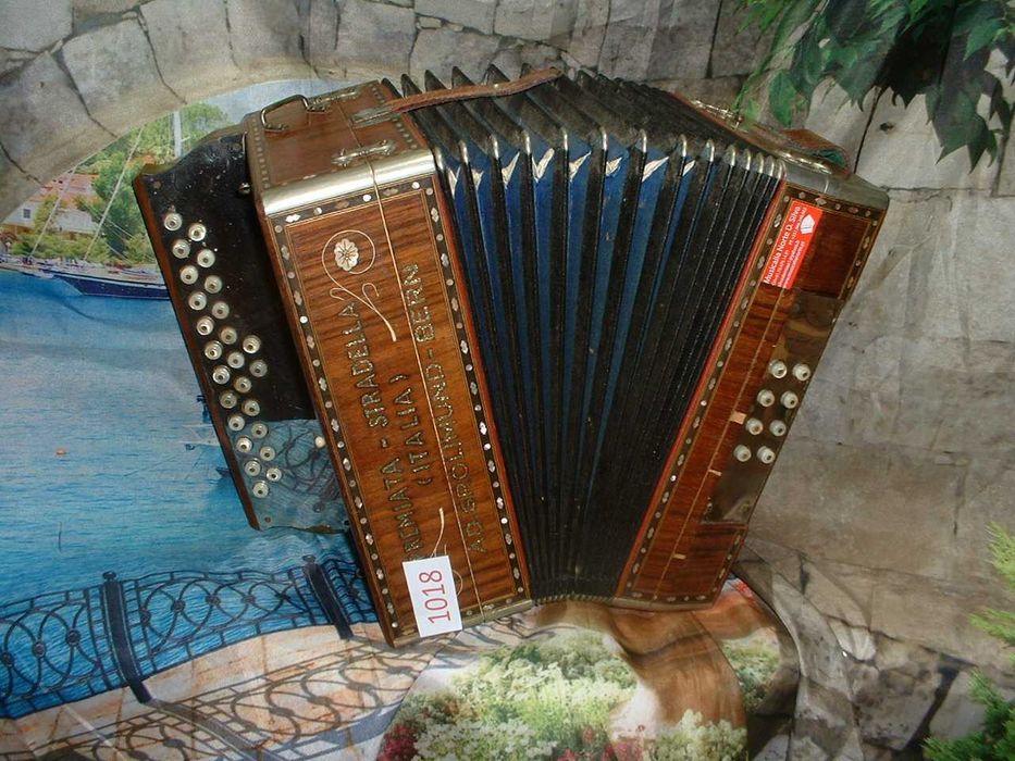Promoção de Acordeões de concertinas