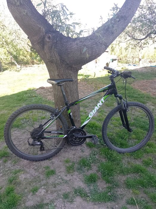 Giant aluxx 6000 butted tuning 26"