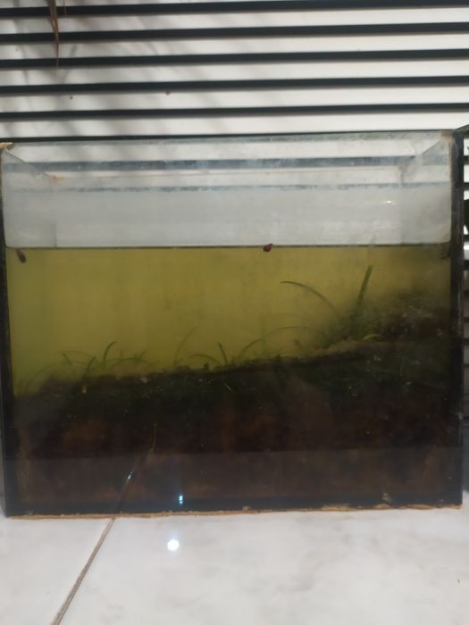 Аквариум небольшой 2.5 литра бесплатно