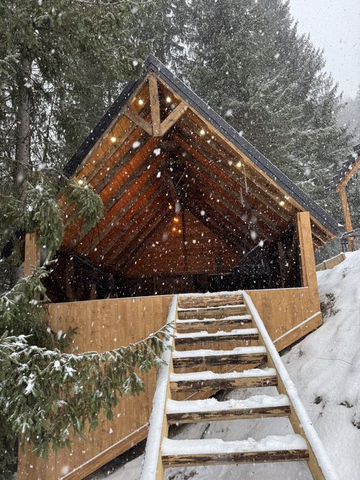 БУДИНОЧКИ В КАРПАТАХ | Королівське місце | ЧАН