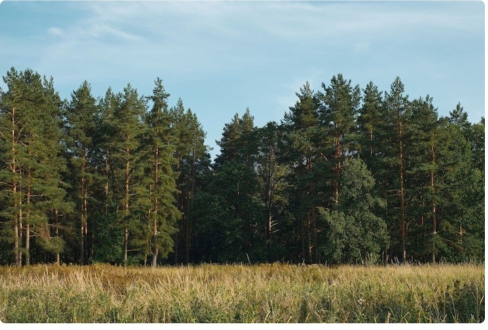 Продам участок земли