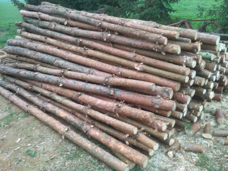 SŁUPKI ogrodzeniowe STEMPLE budowlane 3 metry SOSNA DĄB