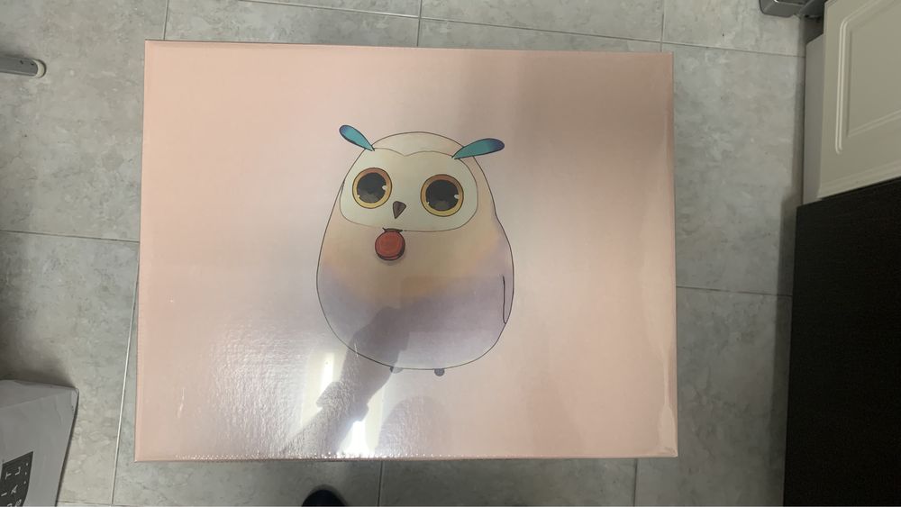 Tales of Arise Hootle Edition ps5