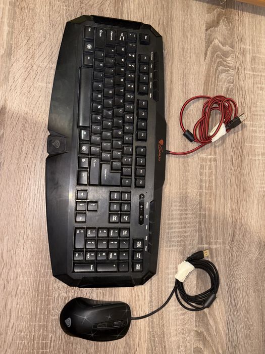 Klawiautra i mysz genesis