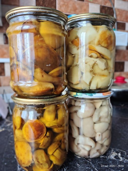 Продам маринованные грибы