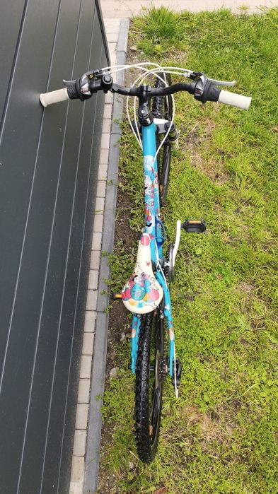 Rower Scott Contessa 24