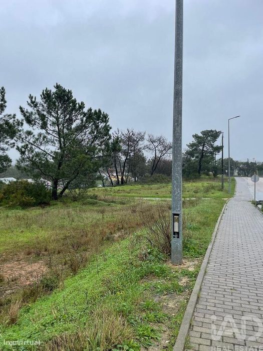 Terreno Agrícola em Gâmbia-Pontes-Alto da Guerra
