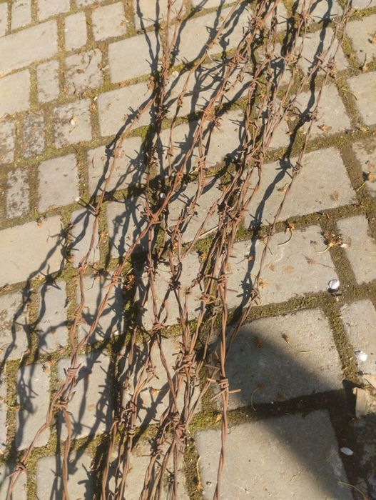 Колючий дріт оцинкований б/у по 3м