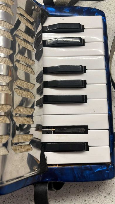 Accordion for child64365230614017123