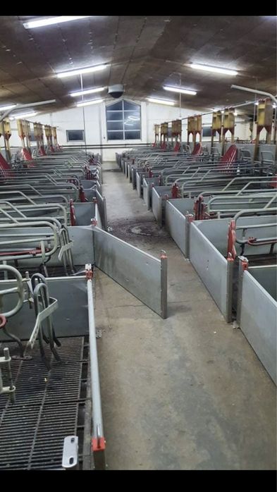 Wygrodzenia Tucznik- warchlak