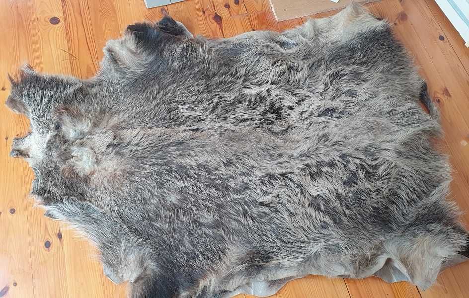 Skóra z dzika wyprawiona