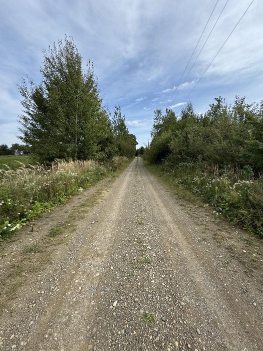 Продаж будинку  по вул. Польова в с.Заболоття 60 сот. землі