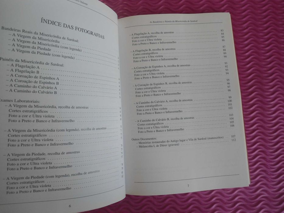 As Bandeiras e Painéis da Misericórdia do Sardoal de Francisco Valente