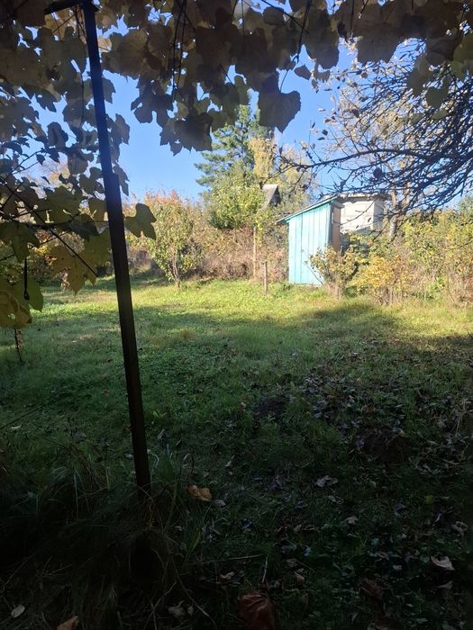 Земельна ділянка