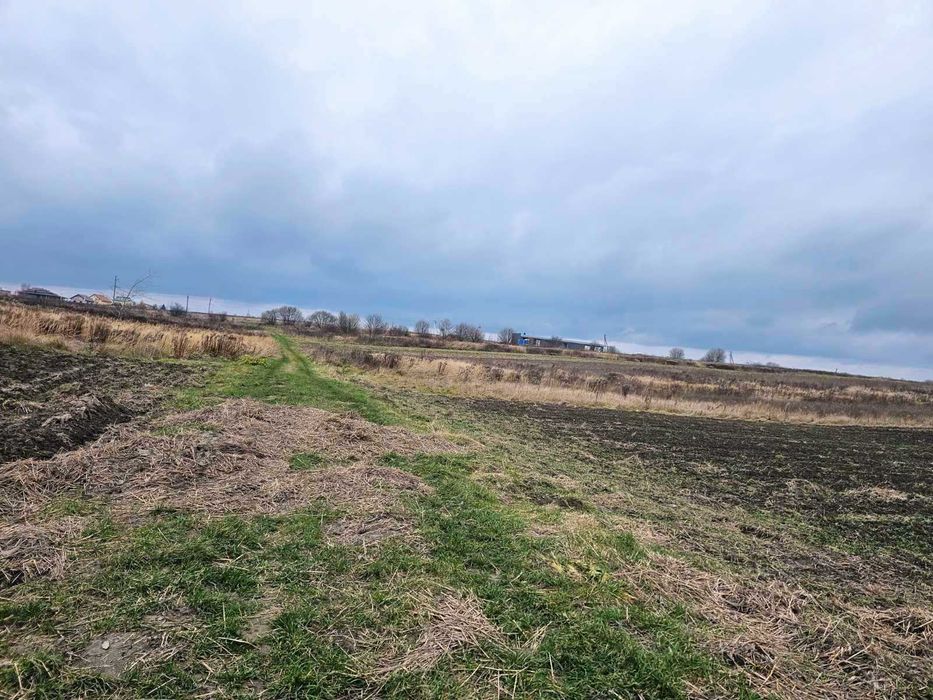 Продаж ділянки 32 сот. / 2500$/с. БАСІВКА