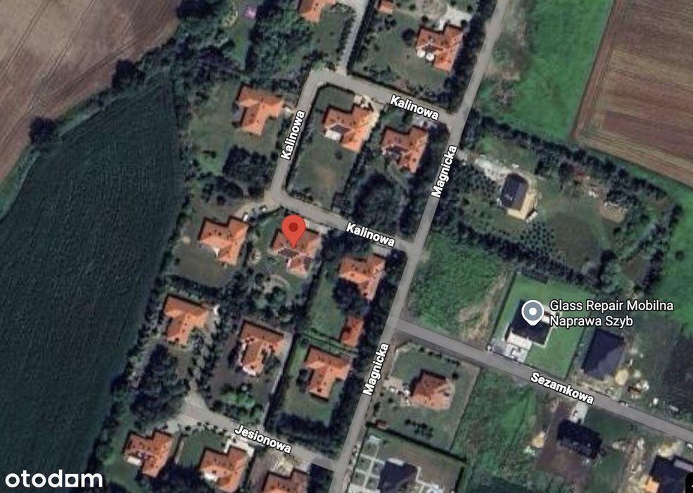 Ogród jak park a w nim piękny, eko dom dostępny od ręki Obniżka ceny