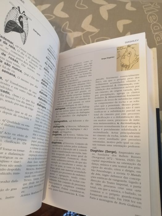 20 volumes A Enciclopedia, edição do Público, 20 volumes