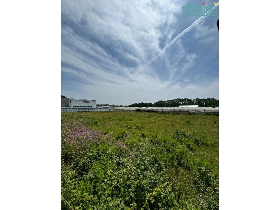 Land Plot in Vagos